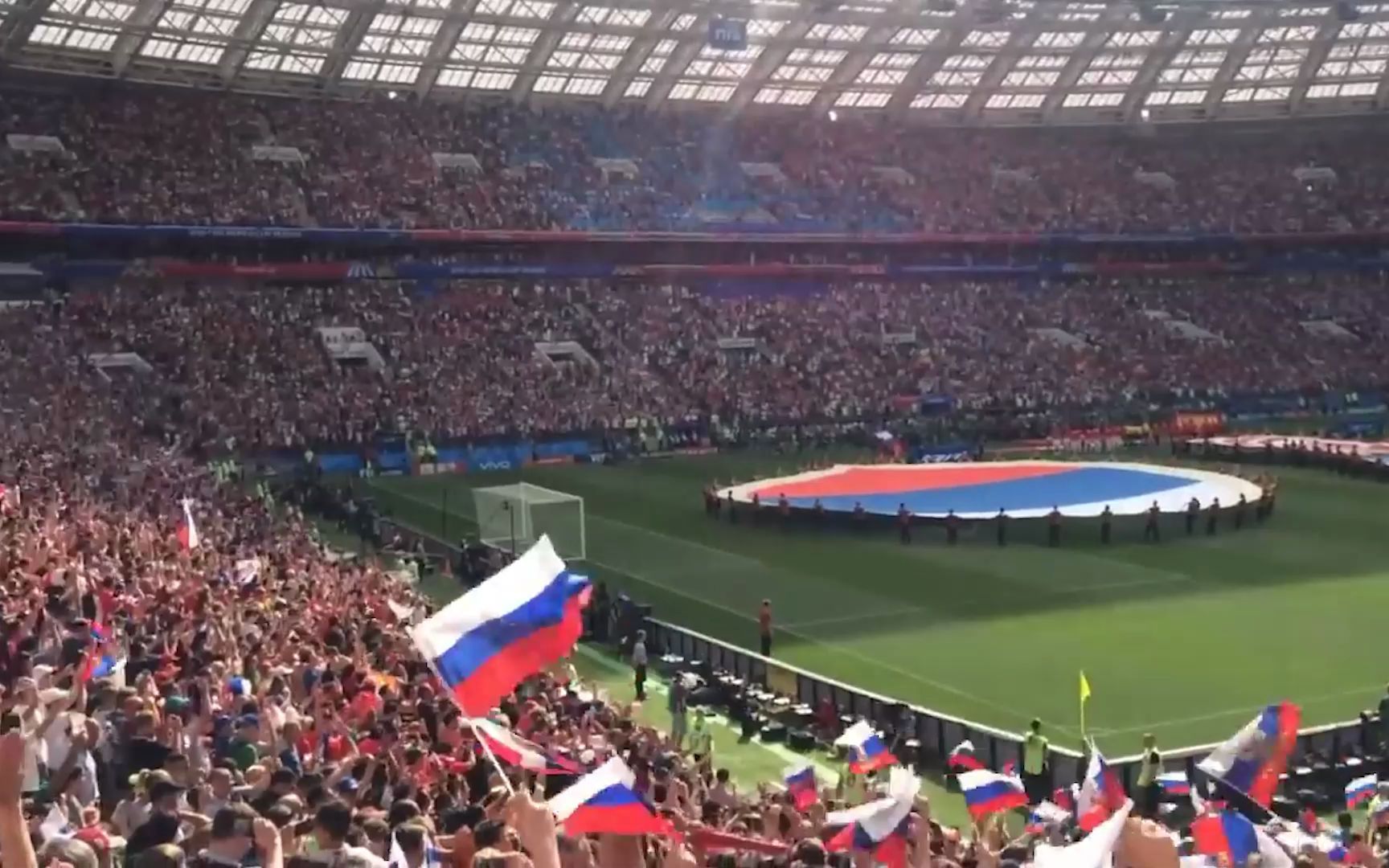 动物油精炼设备