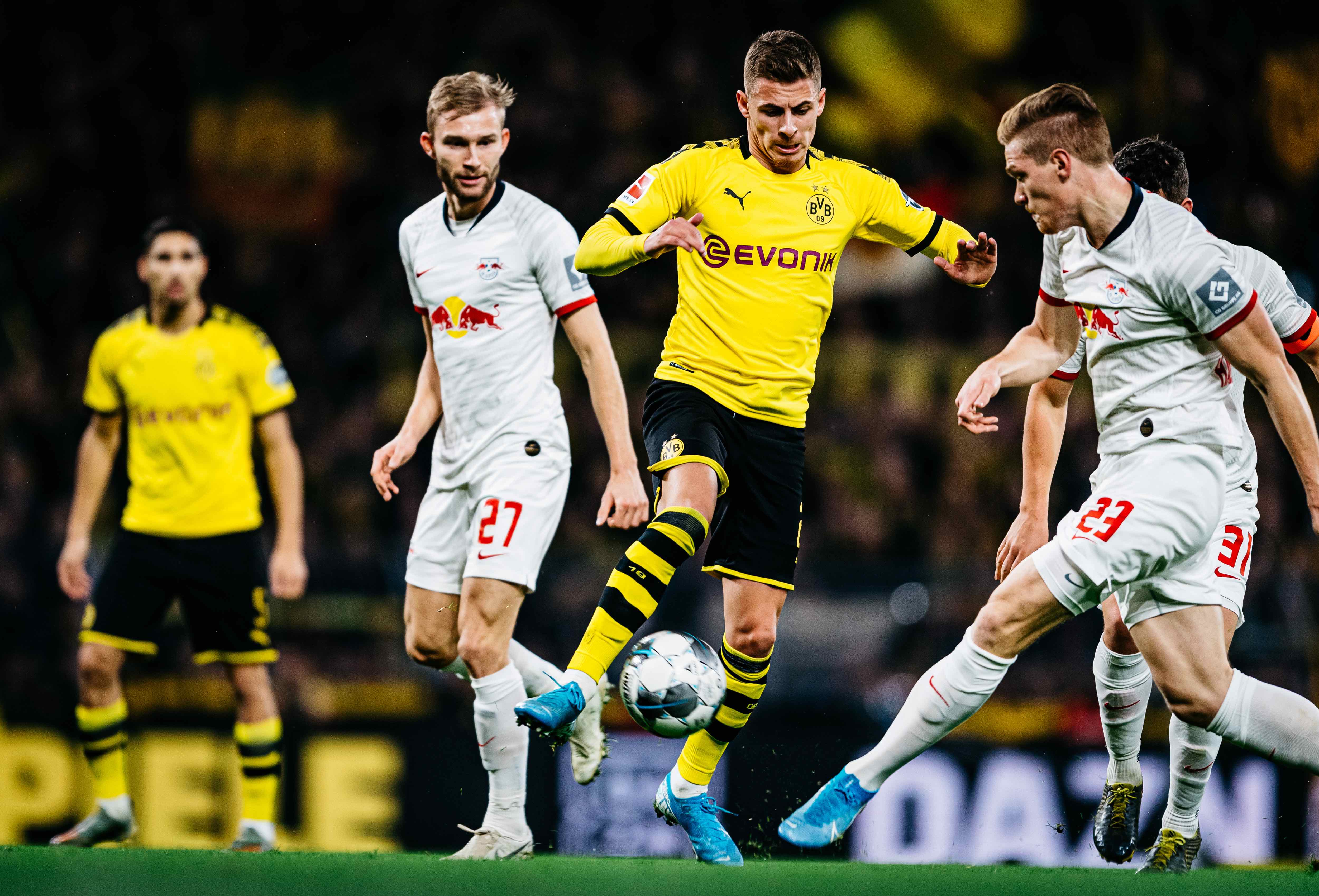 50吨植物油精炼设备